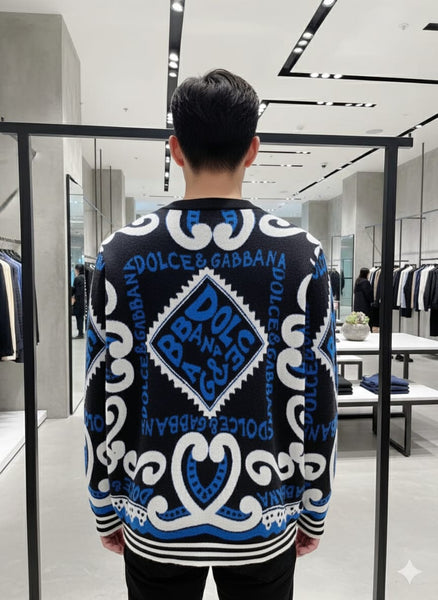 Bold Printed Knit Sweater  Luxury Style Statement