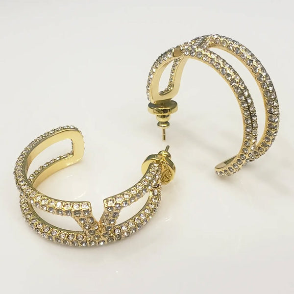 Luxury Embellished V  Earrings