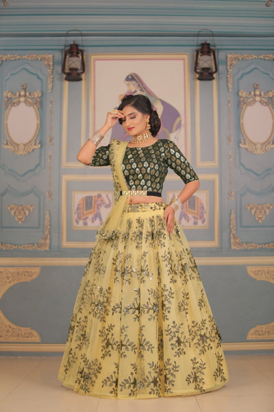 Beautiful Heavy Peanut Black Lehenga (Semi-Stitch)