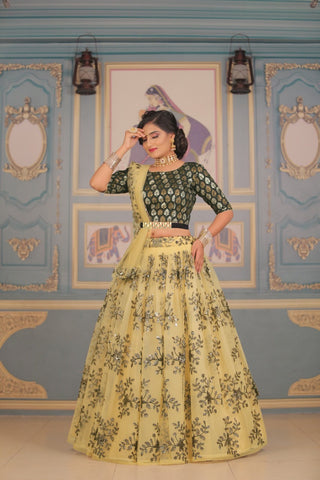 Beautiful Heavy Peanut Black Lehenga (Semi-Stitch)