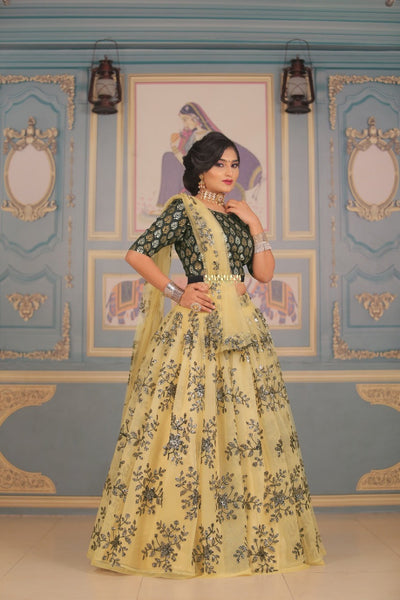 Beautiful Heavy Peanut Black Lehenga (Semi-Stitch)