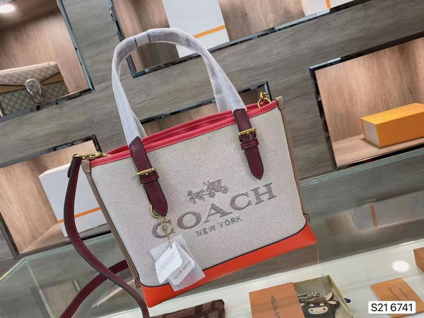 Mollie Tote in Colorblock