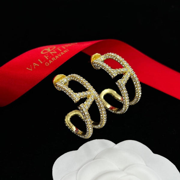 Luxury Embellished V  Earrings