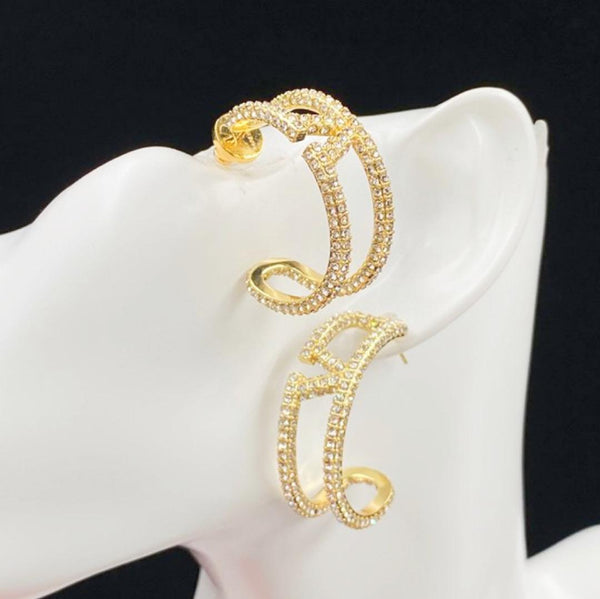 Luxury Embellished V  Earrings