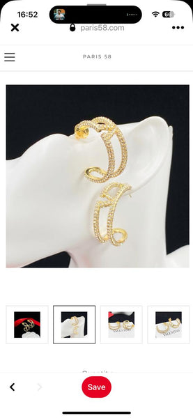 Luxury Embellished V  Earrings