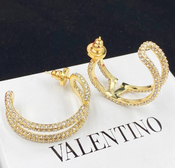Luxury Embellished V  Earrings
