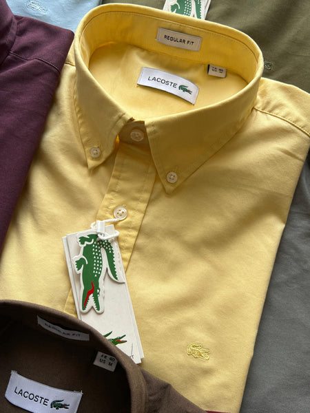 Branded Regular Fit Full  Sleeve  Shirt