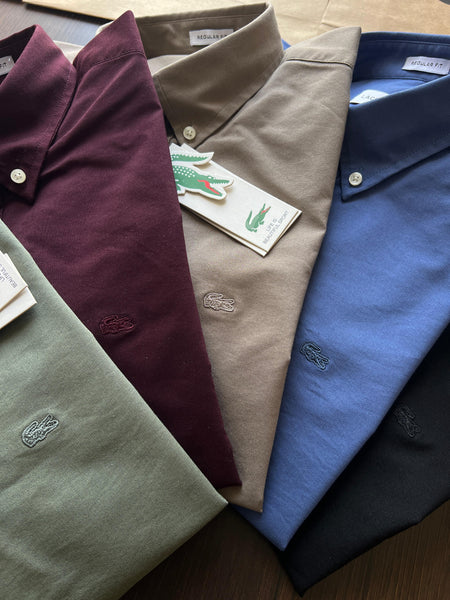 Branded Regular Fit Full  Sleeve  Shirt