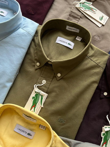 Branded Regular Fit Full  Sleeve  Shirt