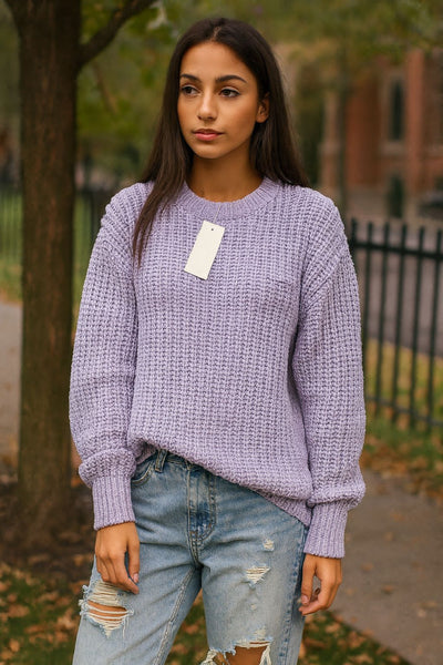 Imported Cozy  Textured Knit Sweater for Women