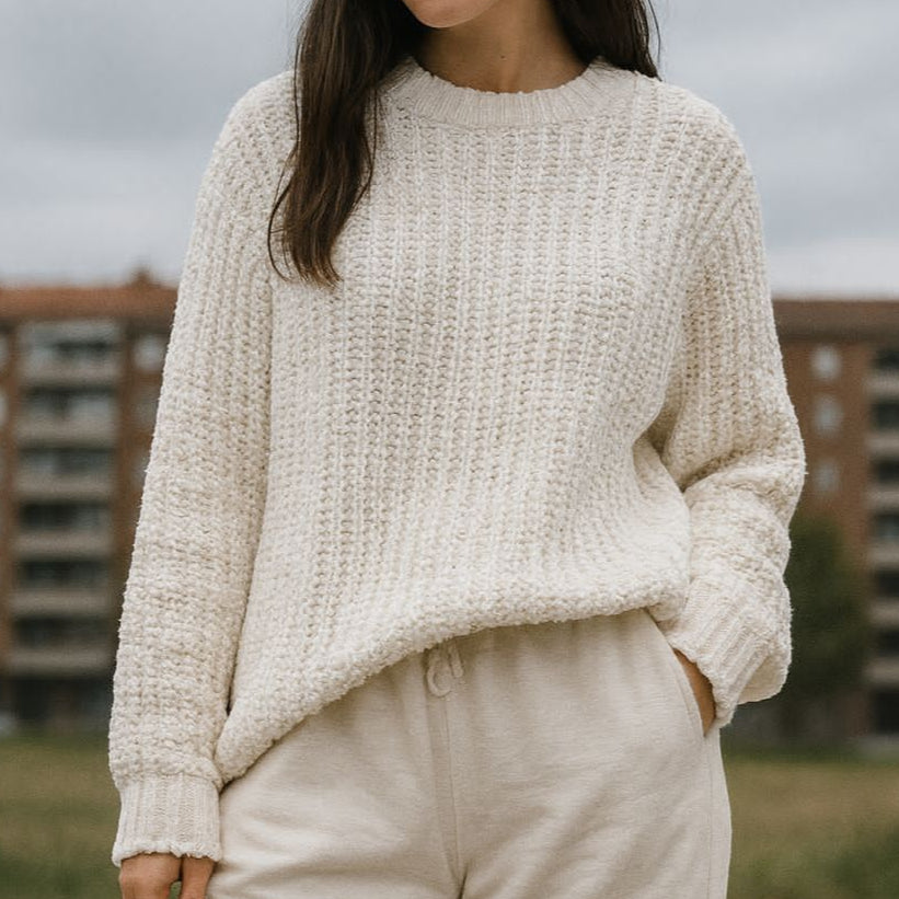 Imported Cozy  Textured Knit Sweater for Women