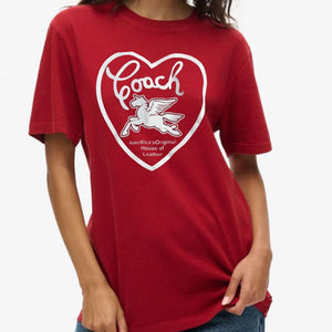 Imported  Drop Shoulder T Shirt For Women