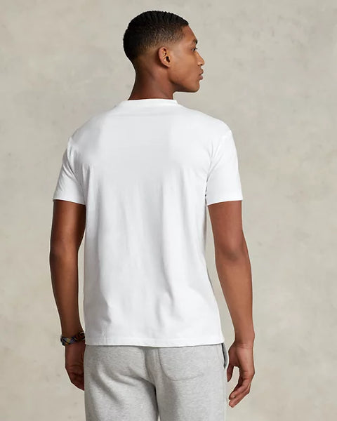 Premium Regular  Fit V-Neck T-Shirt